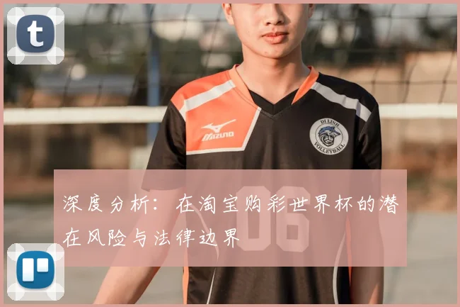 深度分析：在淘宝购彩世界杯的潜在风险与法律边界