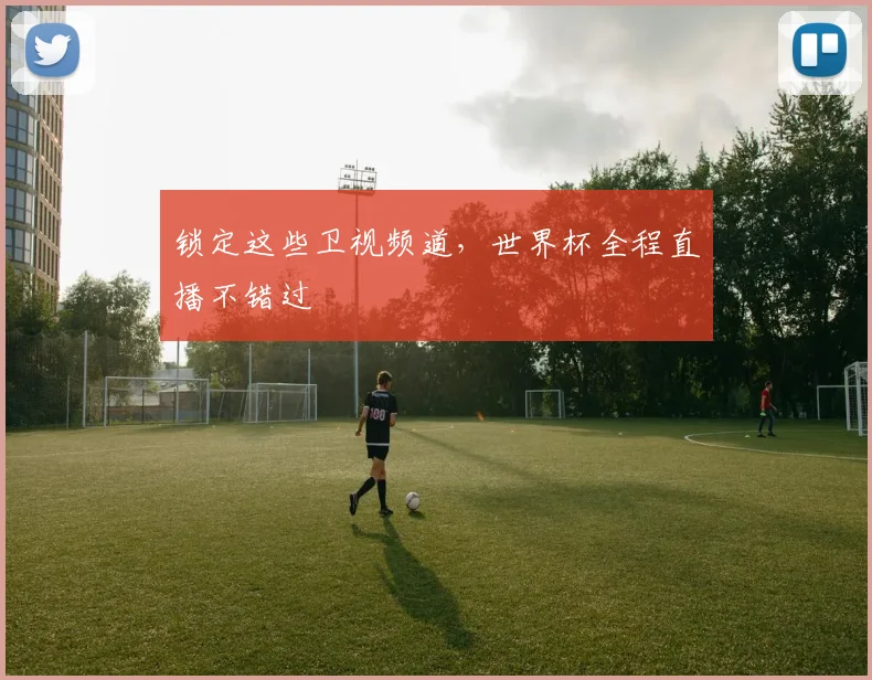 锁定这些卫视频道，世界杯全程直播不错过